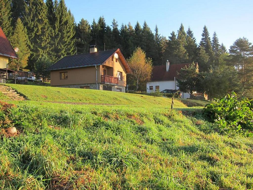 Chata Ostruzina 10+2 Lipno nad Vltavou Ngoại thất bức ảnh